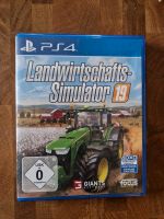 PS4 Spiel, Landwirtschaftssimulator 19 Mecklenburg-Vorpommern - Burow Vorschau