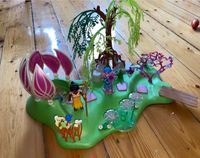 Playmobil Fairies Feeninsel mit Magischer Edelsteinquelle Leipzig - Dölitz-Dösen Vorschau