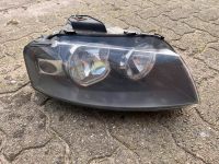 Audi A3 8P Hauptscheinwerfer Halogen rechts Schleswig-Holstein - Warringholz Vorschau