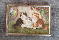 Wandbild Katzen 50ziger Jahren Niedersachsen - Niemetal Vorschau