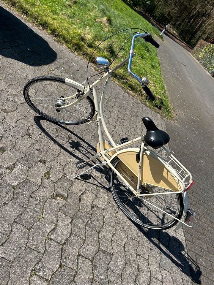 Holländischer Fahrrad in Rheda-Wiedenbrück