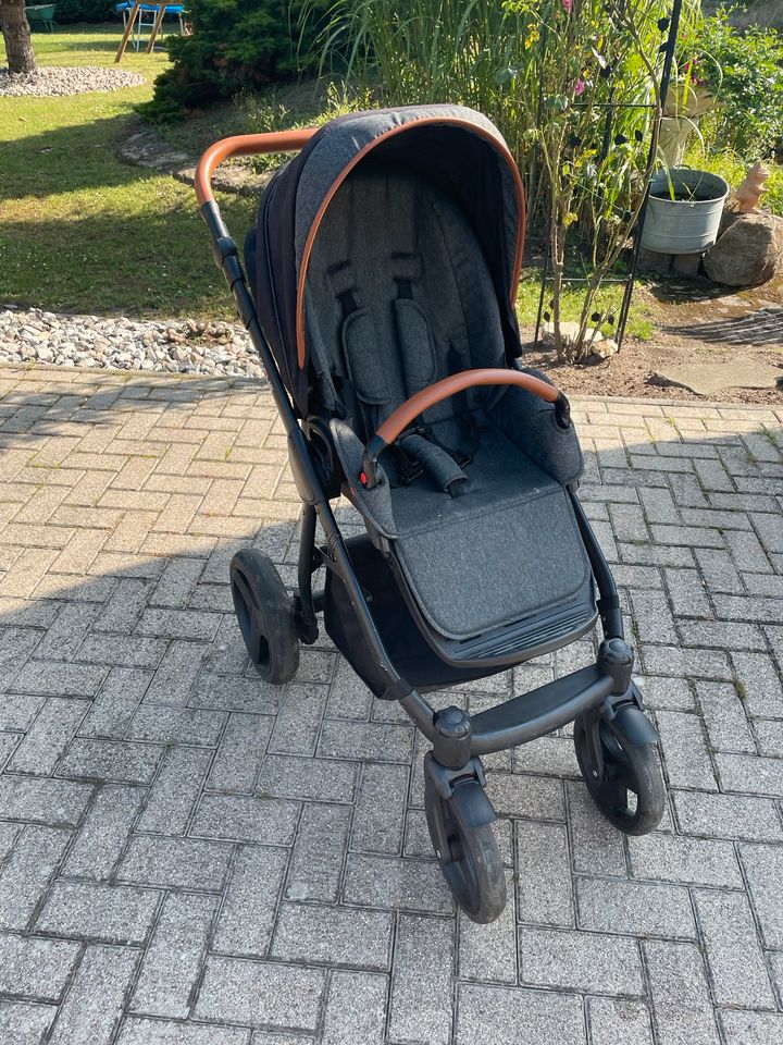 Kinderwagen Amelis pro in Westeregeln