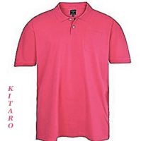 Kitaro Herren Polohemd, Poloshirt Hemd NEU UVP. 59,95 € Baden-Württemberg - Ravensburg Vorschau