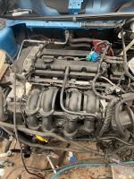 Motor Ford Focus 1.6 2009 Nordrhein-Westfalen - Herzogenrath Vorschau