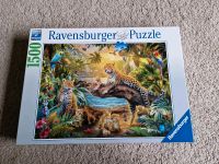 Ravensburger Puzzle NEU "Leoparden im Dschungel" 1500 Teile Rheinland-Pfalz - Roxheim Vorschau