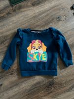 Blauer dicker Paw Patrol Pullover mit Skye Gr. 80-86 Bayern - Buchloe Vorschau