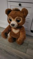 FurReal Cubby Teddybär Altona - Hamburg Lurup Vorschau