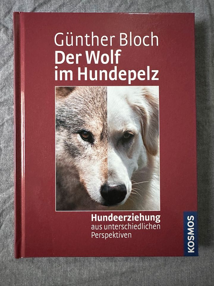 Der Wolf im Hundepelz Günter Bloch in Hattingen