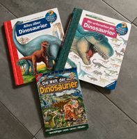 3 Dinosaurier Bücher „Wieso Weshalb Warum“ etc. Niedersachsen - Lüneburg Vorschau