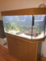 Juwel Aquarium 170l Leer Terrarium Hessen - Heppenheim (Bergstraße) Vorschau