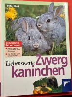 Tierbuch Liebenswerte Zwergkaninchen Dithmarschen - Buesum Vorschau