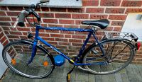 Bianchi 28"Treckingbike Nordrhein-Westfalen - Dülmen Vorschau