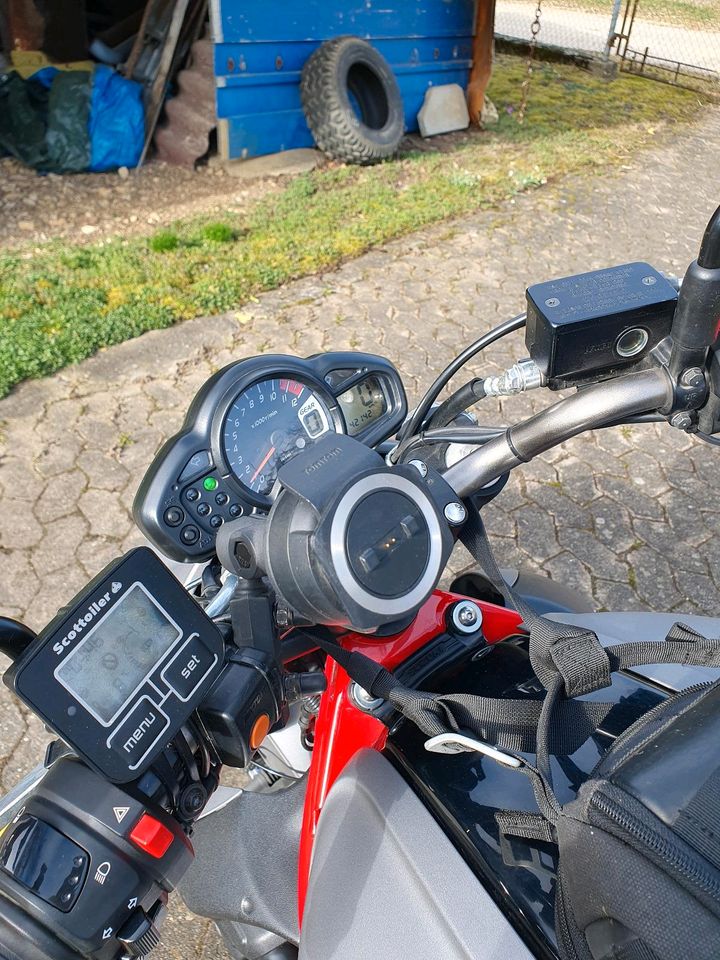 Suzuki Gladius in Amstetten