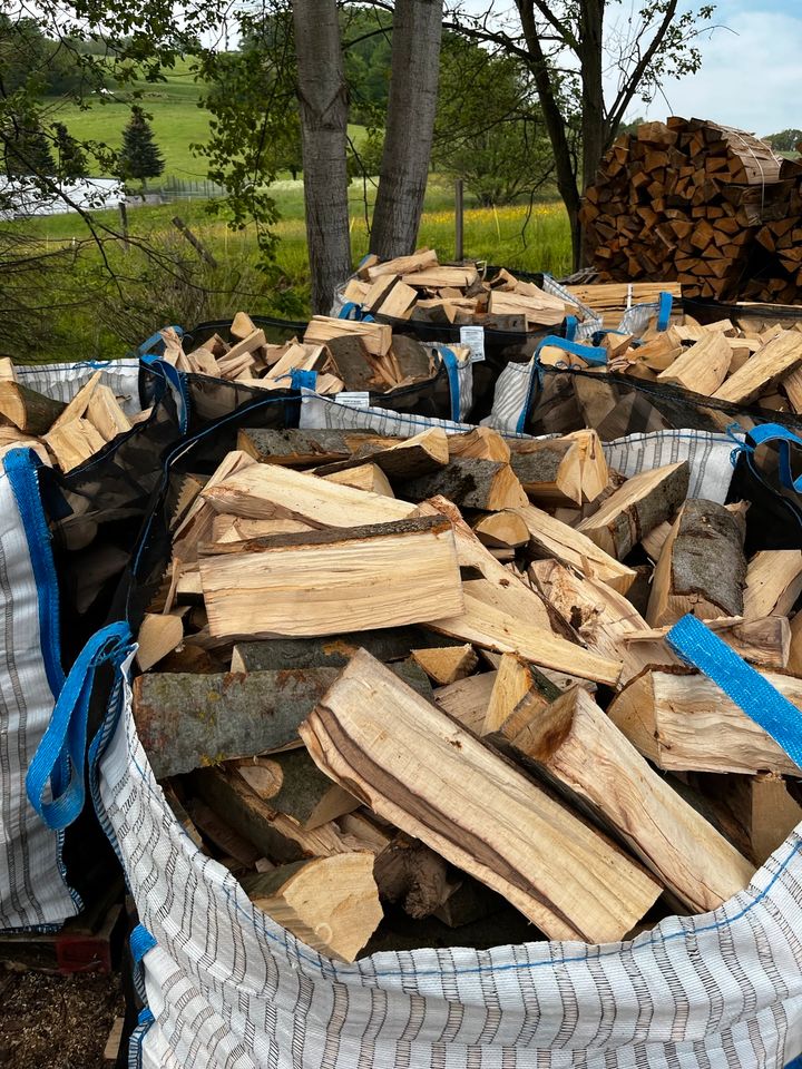 Brennholz Buche Fichte Anzündholz in Floh-Seligenthal-Struth-Helmershof