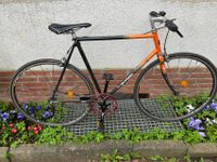 Rennrad Koga Miyata - Single Speed - RH56 Wandsbek - Hamburg Tonndorf Vorschau