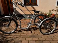 Wild Eagle  3 Rad Fahrrad Lastenbike Bayern - Forstern Vorschau