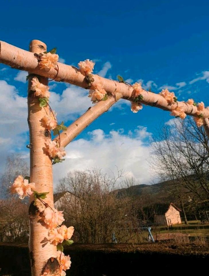 Hochzeit Traubogen Birkentraubogen Hochzeitsbogen freie Trauung in Hammelburg