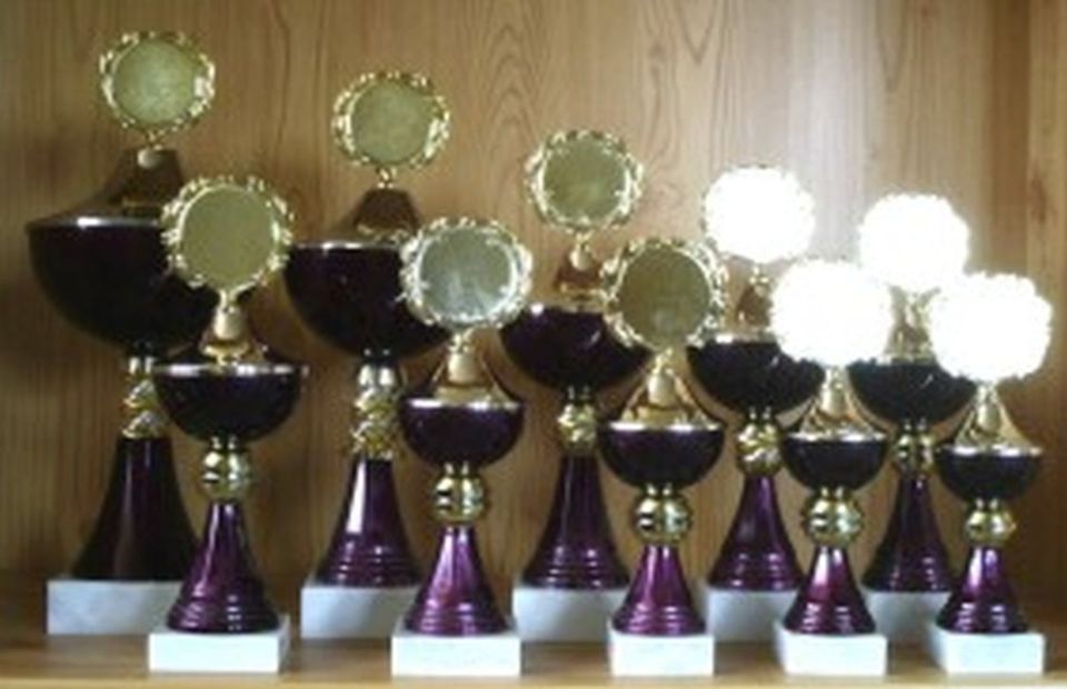 11 Pokale Serie gestaffelt Farbe lila 20-35cm #914 in Niederwerrn