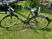 Fahrrad Rabeneick Futura 28" Niedersachsen - Seevetal Vorschau