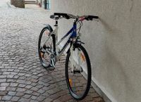 Damen Fahrrad univega  28 Zoll Baden-Württemberg - Salach Vorschau