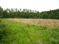 Hühnerwiese Freilandhaltung Acker Wald Kurzumtriebsplantage Nordrhein-Westfalen - Billerbeck Vorschau