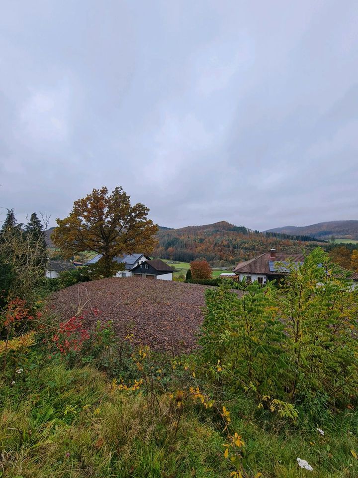 Grundstück Baugrundstück voll erschlossen mit Zufahrstweg in Hatzfeld (Eder)