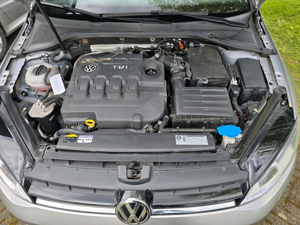 VW Golf 7  1.6 Diesel in Altenbeken