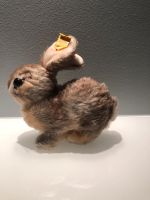 Steiff Hase/  Osterhaseq Niedersachsen - Isernhagen Vorschau