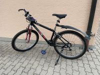 Pakka Sagitta Mountainbike 38cm Bayern - Gilching Vorschau