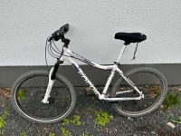 Fahrrad/Mountainbike Focus Donna HT Nordrhein-Westfalen - Hennef (Sieg) Vorschau