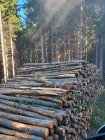 Schöne Buche, Stammholz  für die Spaltmaschine Bayern - Thyrnau Vorschau