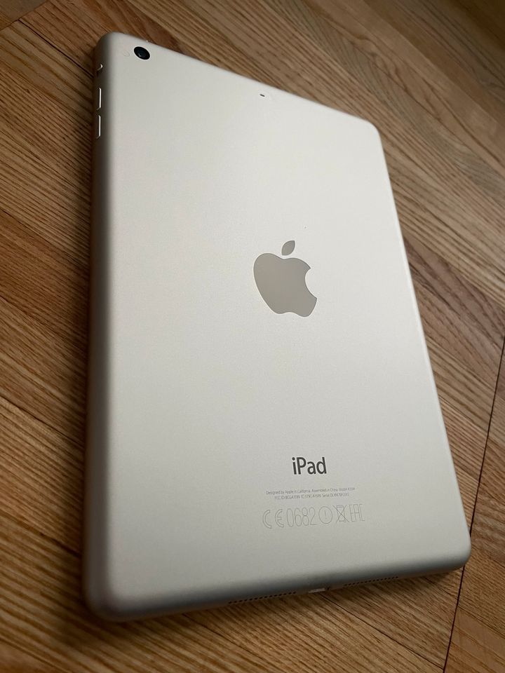 Apple iPad mini 3 in Markdorf