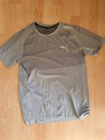 Puma Sport Shirt Gr. M f. Herren grau Bayern - Ahorntal Vorschau