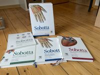 Medizin Studium Sobotta Atlas Anatomie Mecklenburg-Vorpommern - Greifswald Vorschau