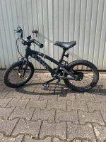 Ollo Bike Kinderfahrrad in 16 Zoll Stuttgart - Stammheim Vorschau