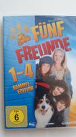 Fünf Freunde 1-4 auf 4 DVDs nach Enid Blyton Sammleredition Rheinland-Pfalz - Dannstadt-Schauernheim Vorschau