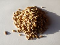 Getreide, Gerste, Weizen, Triticale Hessen - Antrifttal Vorschau