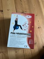 Fitness ball 55cm Pankow - Prenzlauer Berg Vorschau