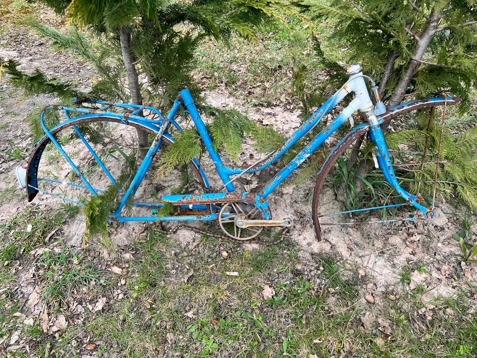 DDR Damenrad Rahmen in Bernsdorf