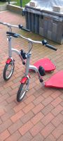 Zwei Kettler Dreirad-Roller zu verkaufen Schleswig-Holstein - Lütjenwestedt Vorschau