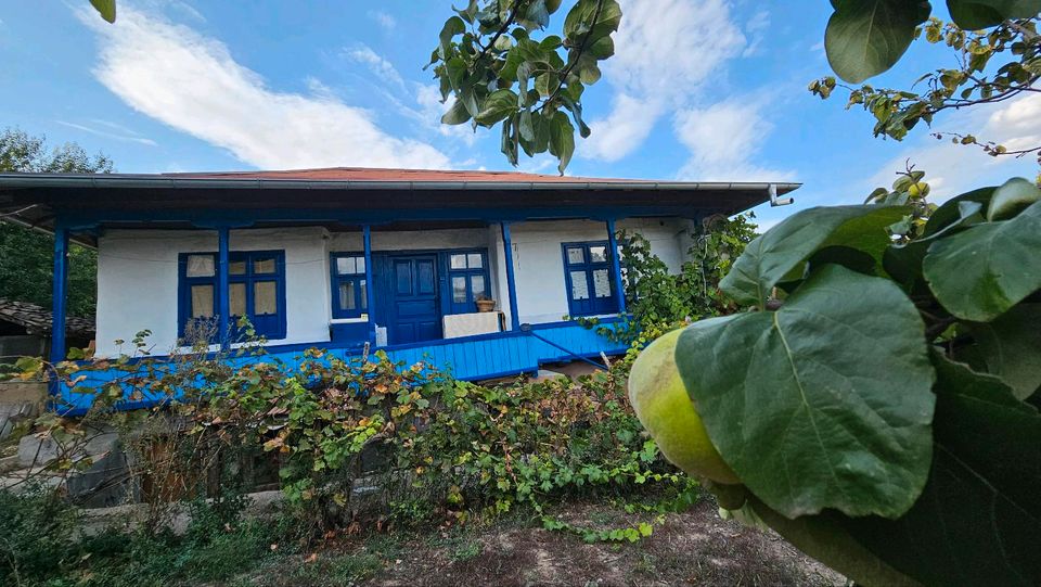 Privat verkauft House mit Grundstück 100km von Meer in Sankt Augustin