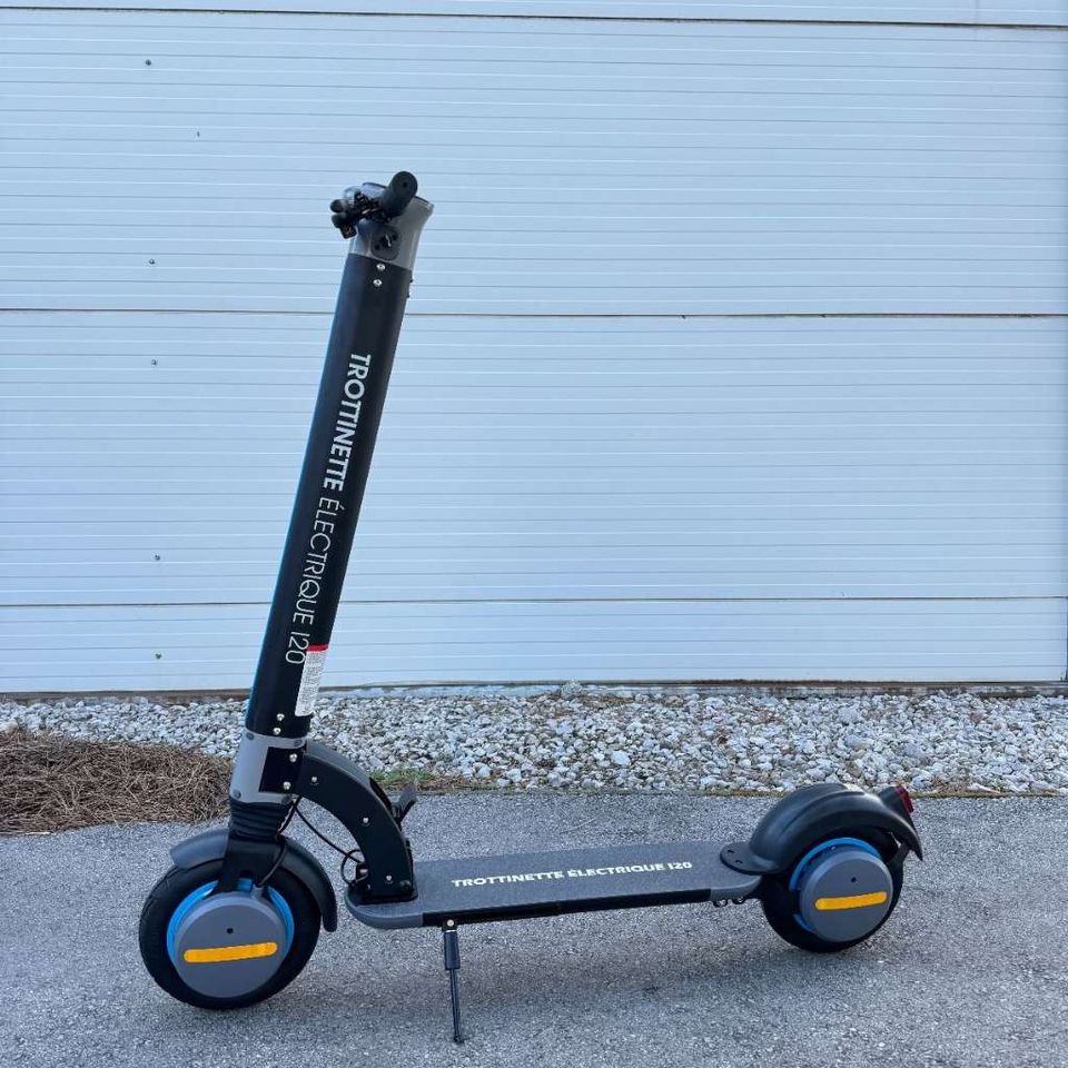 350W Elektro - Roller/Scooter in Steinheim an der Murr