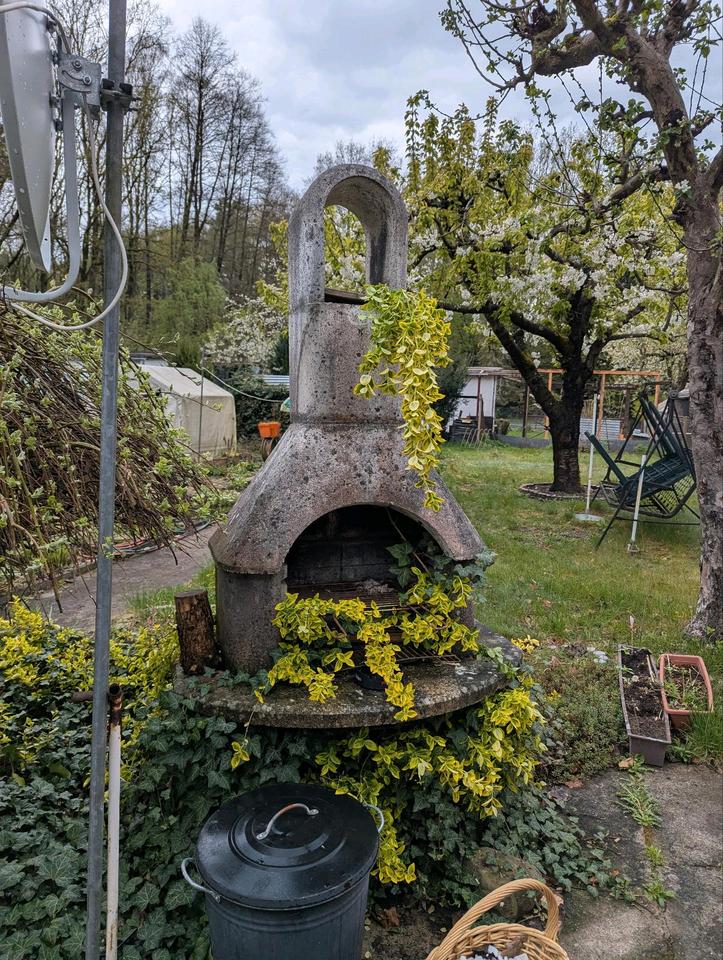 Kleingarten, Garten, Pachtgarten, Eberswalde in Brandenburg