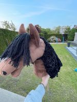 Hobby Horse Nordrhein-Westfalen - Saerbeck Vorschau