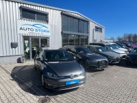 Volkswagen Golf VII 1.5 TSI BlueMotion Join*Navi*PDC*W-Pake Bayern - Landau a d Isar Vorschau