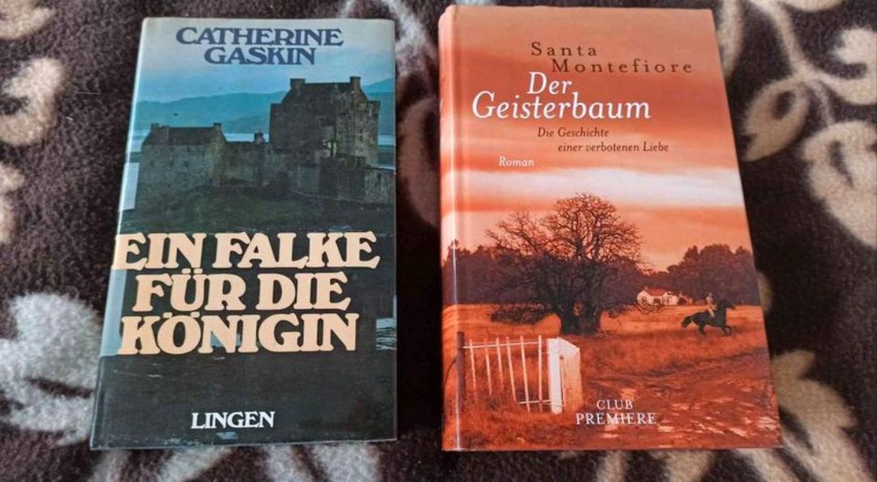 Romane "Ein Falke für die Königin" & "Der Geisterbaum" in Schleswig