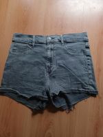 Hollister Short Damen 38 Schleswig-Holstein - Wattenbek Vorschau