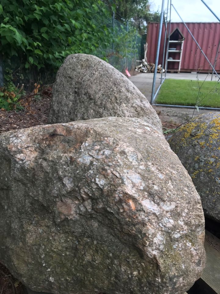 Findling Naturstein von 20 -1000 kg das Stück in Beverungen