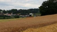 Nutzfläche, Acker, Wiese, Feld, Getreide,Mais, Futter, Silo,Pacht Bayern - Tännesberg Vorschau