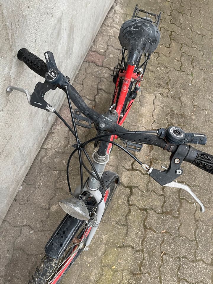 Kinder Fahrrad 24 Zoll in Wolfenbüttel